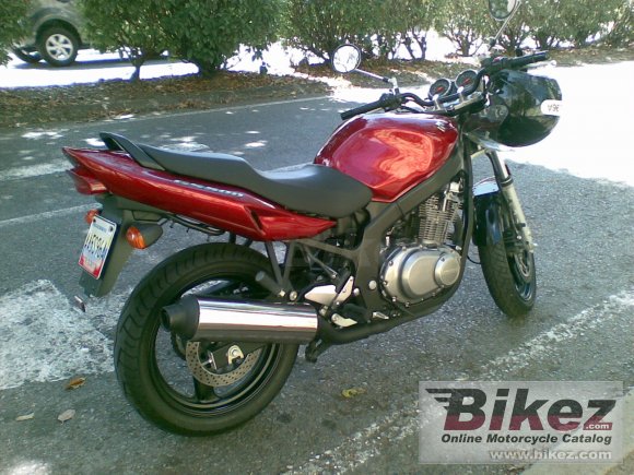 2006 Suzuki GS 500 photo